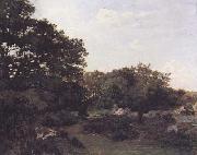 Frederic Bazille Forest of Fontainebleau (mk06) oil painting picture wholesale